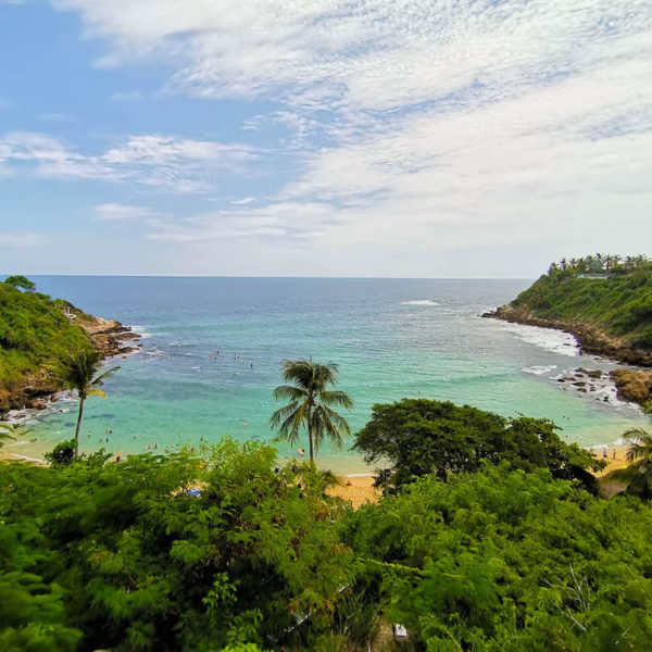 Carrizalillo Beach in Puerto Escondido: a turquoise cove surrounded by greenery and palm trees