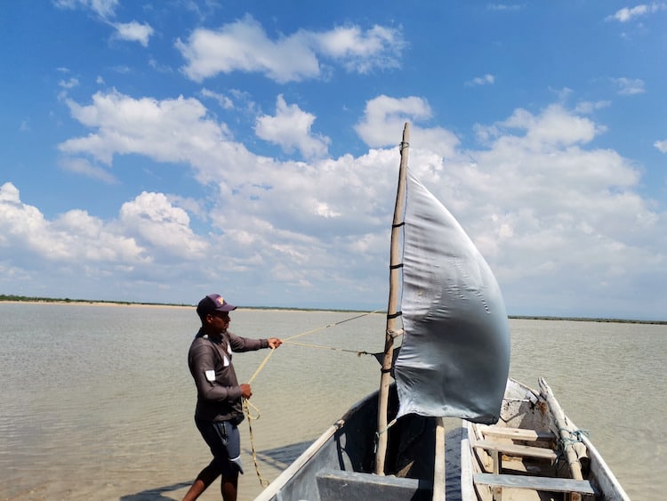 A man setting up a sail on a canoe in a lagoon in order to take people to see pink flamingos in the wild. This is one of the best things to do in Palomino, Colombia!