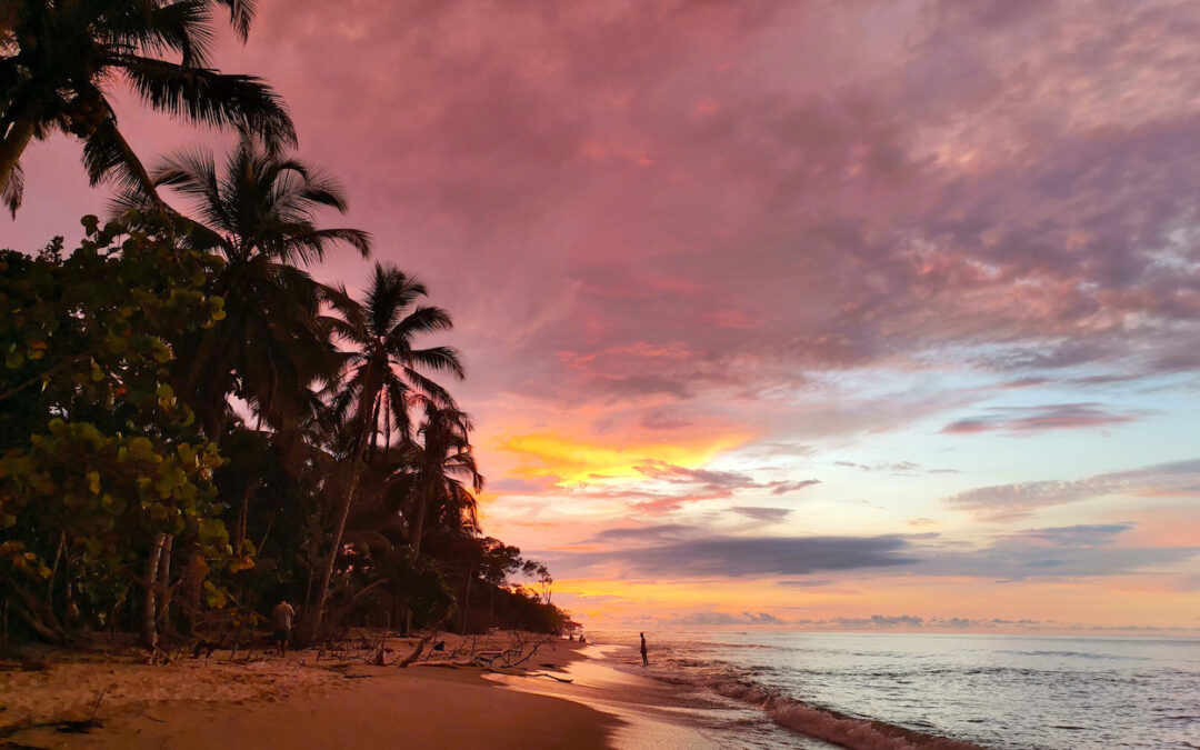 A pink and orange sunset against a backdrop of tropical palm trees at Palomino beach in Colombia